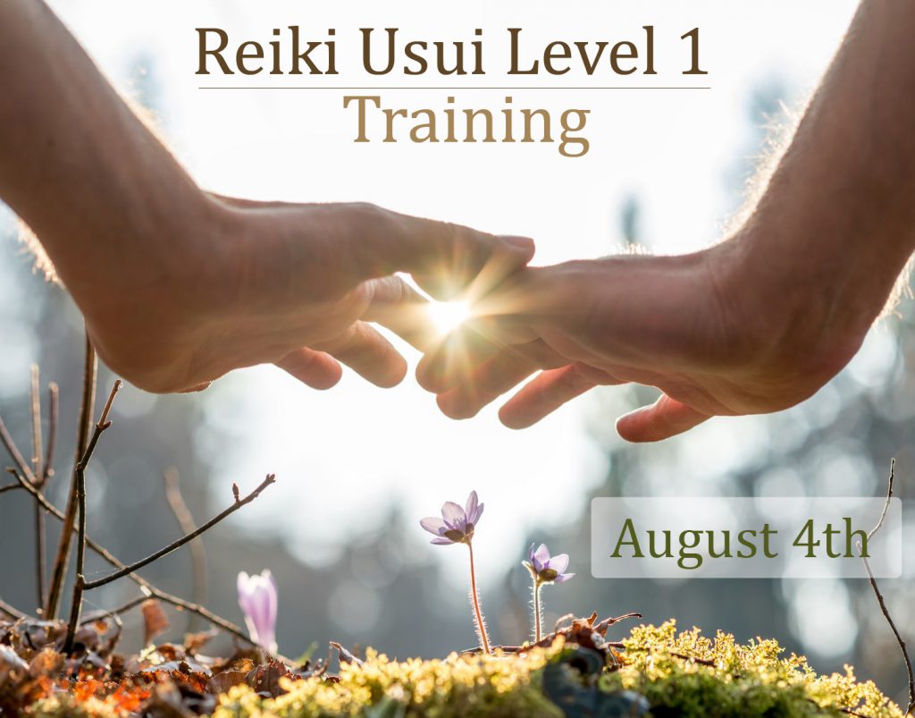 reiki training level 1 august 2019