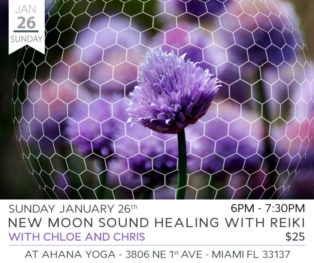 New Moon Sound Healing with Reiki by Chloe and Chris Maanas