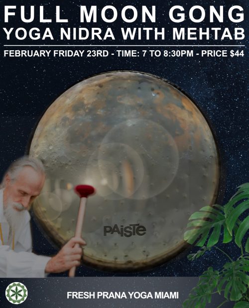 Fresh Prana Full Moon Mehtab February 2024