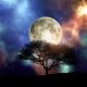 3D render of a silhouette of a tree against a space sky with moon
