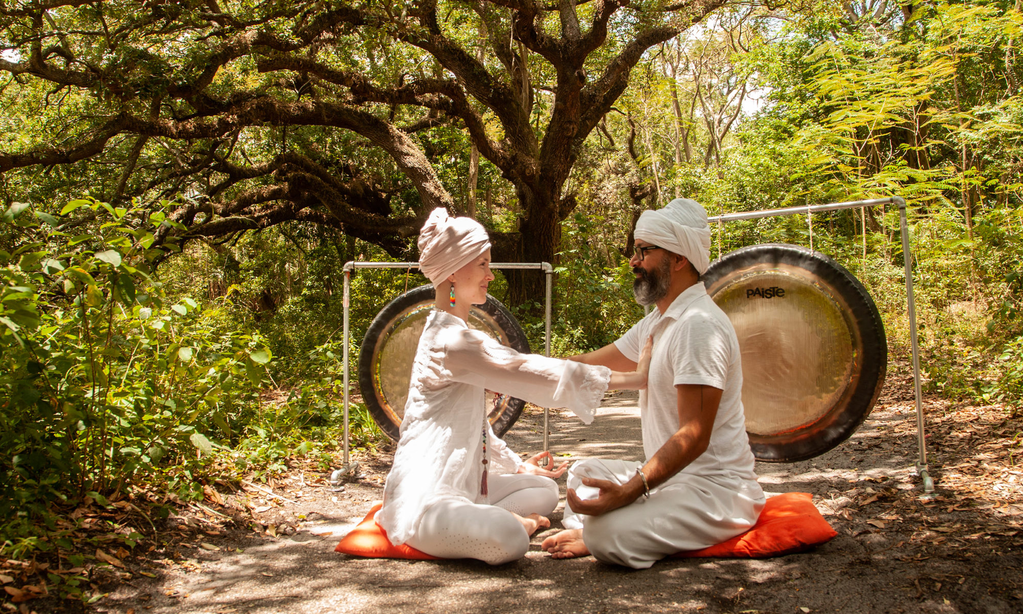 Yoga Healing Meditation Tour India