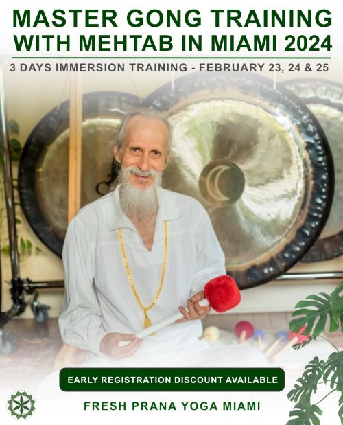 Mehtab Master Gong Training 2024